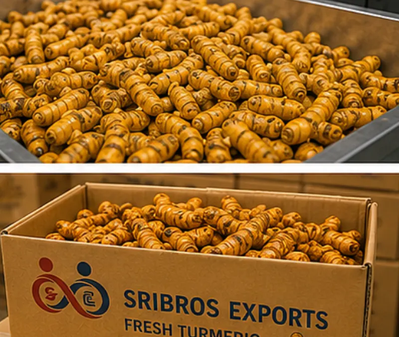 Fresh Turmeric View 4